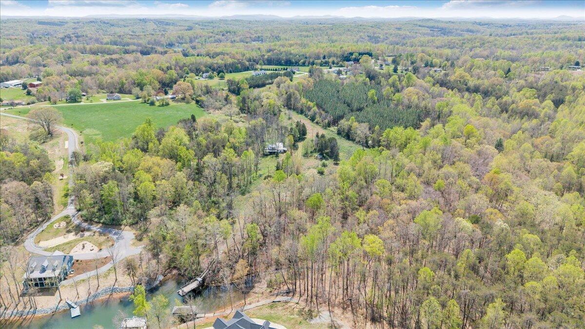 1401 Merriman Way Road Moneta, VA 24121 - Photo 15 of 33 Aerial