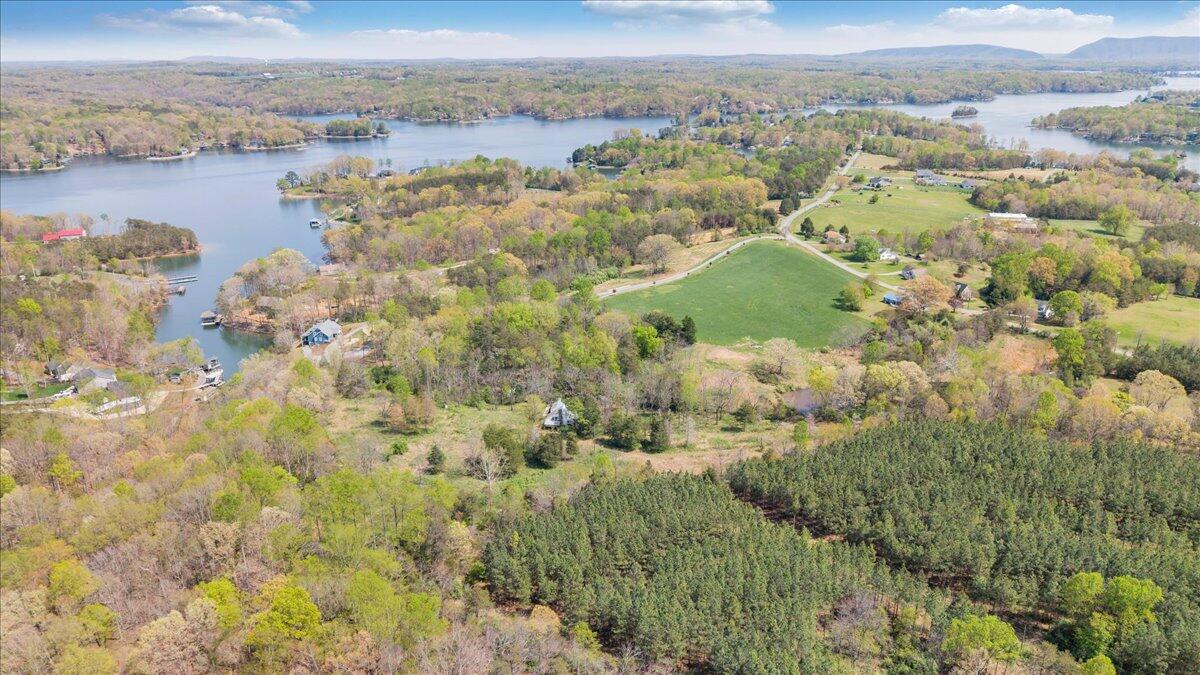 1401 Merriman Way Road Moneta, VA 24121 - Photo 17 of 33 Aerial