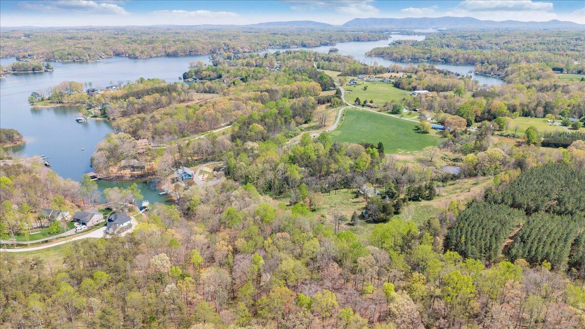 1401 Merriman Way Road Moneta, VA 24121 - Photo 19 of 33 Aerial