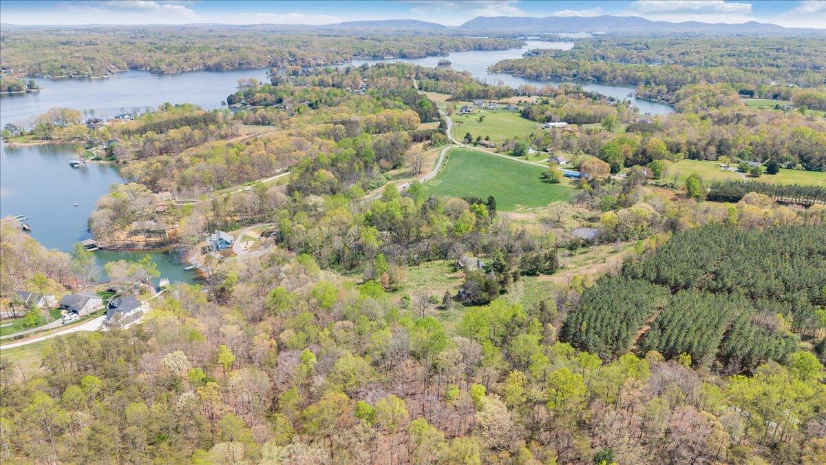 1401 Merriman Way Road Moneta, VA 24121 - Photo 20 of 33 Aerial
