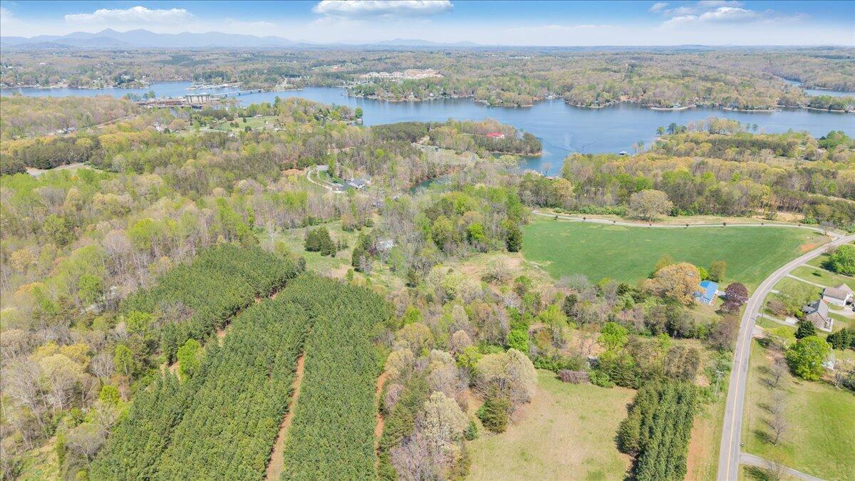 1401 Merriman Way Road Moneta, VA 24121 - Photo 22 of 33 Aerial