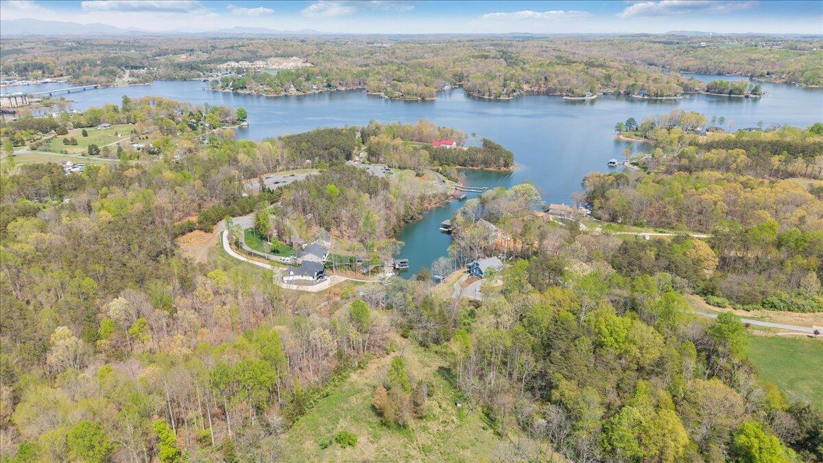 1401 Merriman Way Road Moneta, VA 24121 - Photo 24 of 33 Aerial