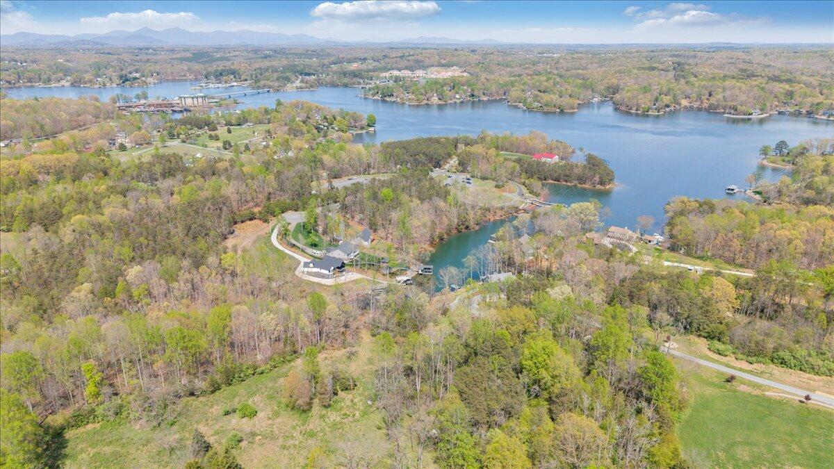 1401 Merriman Way Road Moneta, VA 24121 - Photo 25 of 33 Aerial