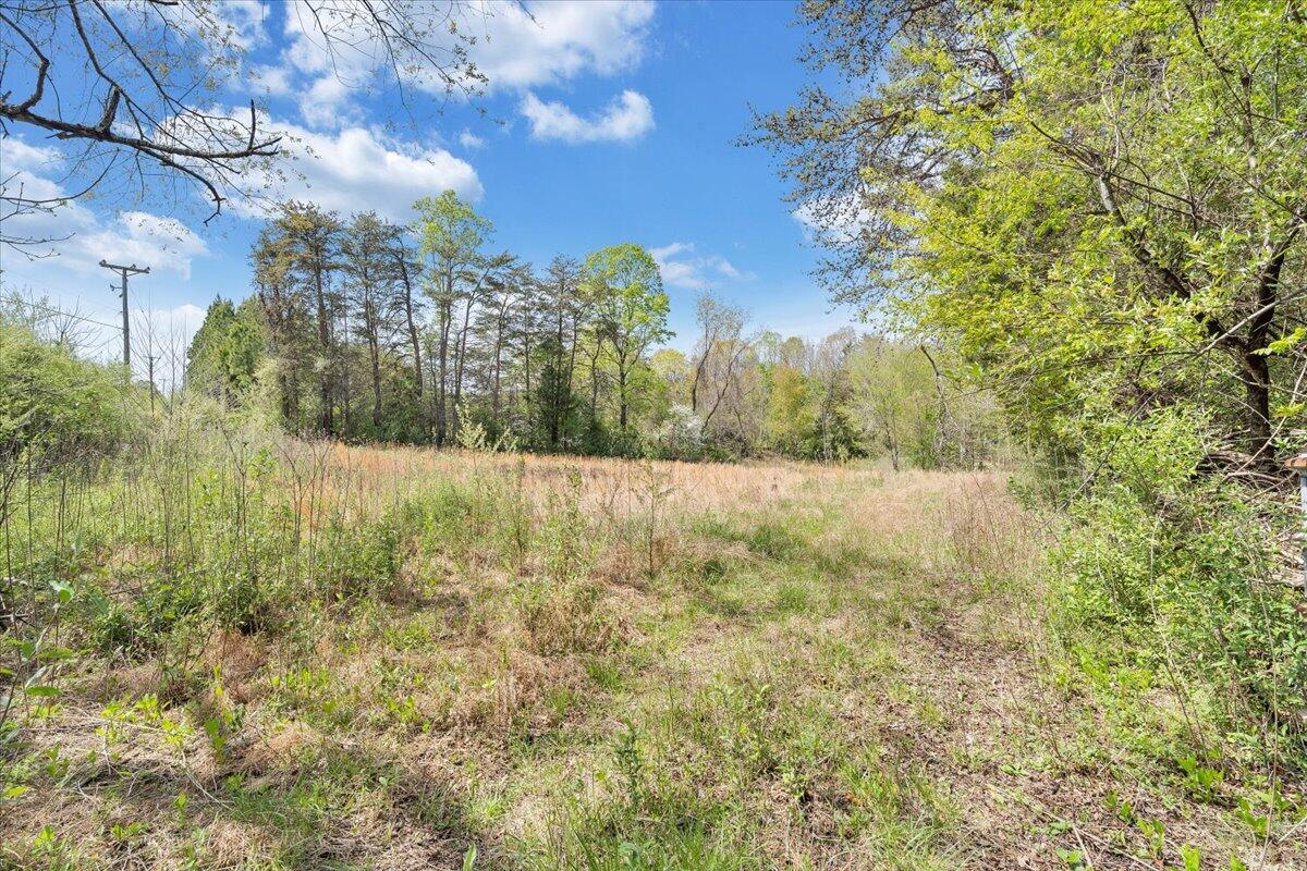 1401 Merriman Way Road Moneta, VA 24121 - Photo 33 of 33 Acerage