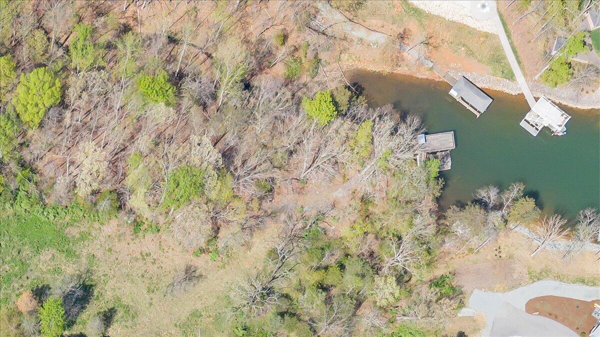 1401 Merriman Way Road Moneta, VA 24121 - Photo 5 of 33 Aerial