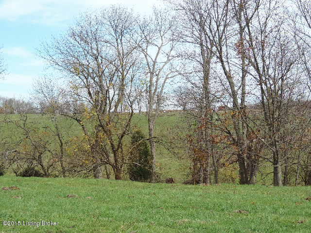 3098 Sulphur Road Sulphur, KY 40070 - Photo 27 of 48 3098 Sulphur Road 014
