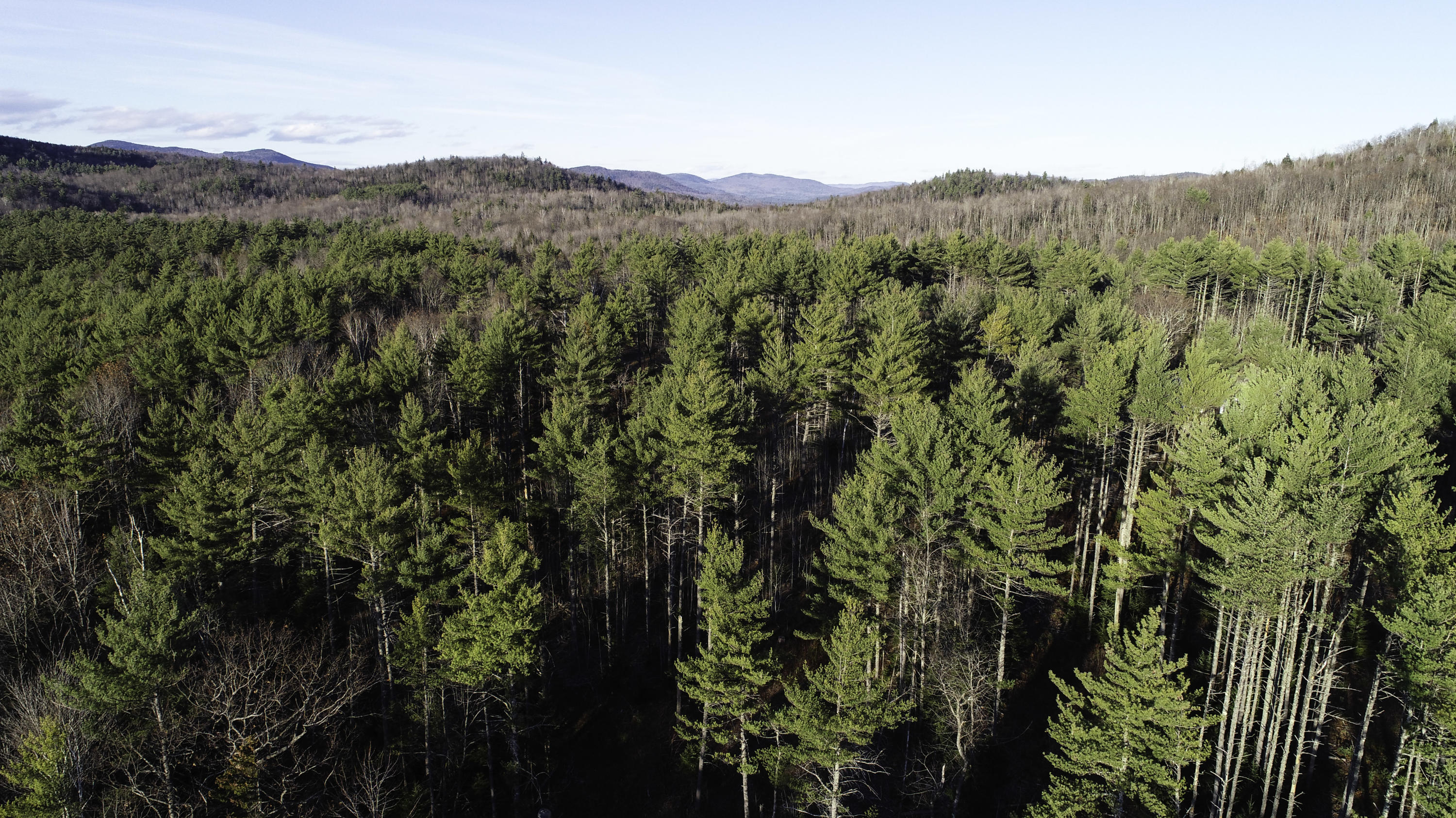 116 Chase Road Bethel, ME 04217 - Photo 29 of 47 DJI_0089