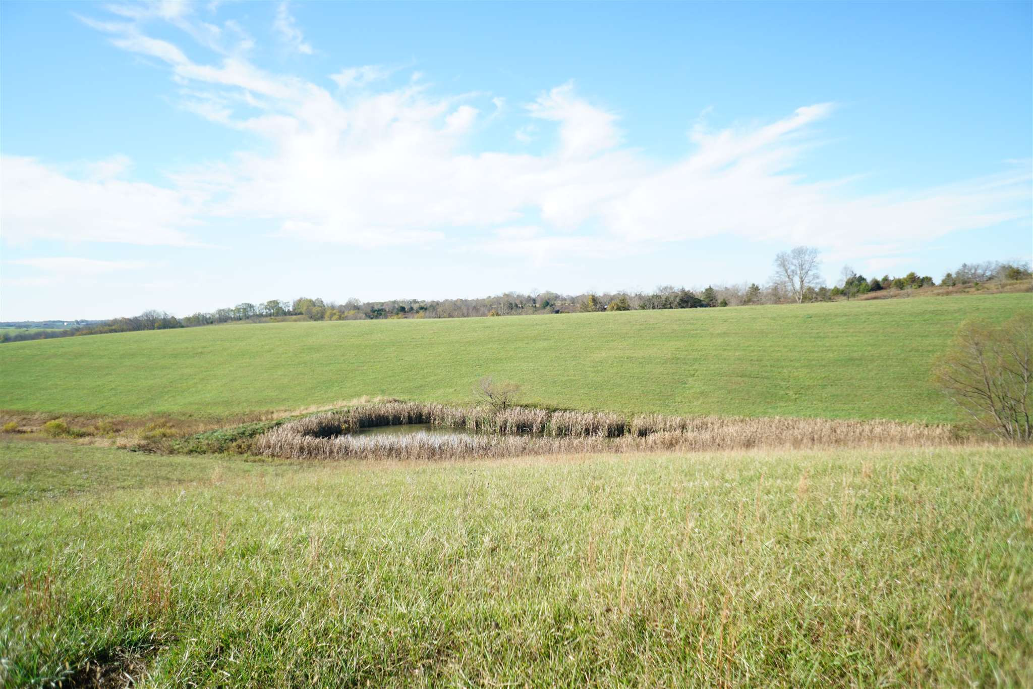 2292 Hinton-Webber Road Corinth, KY 41010 - Photo 34 of 40 Gallery Image 34