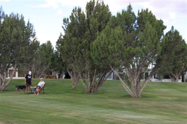 Lot#499 Juniper Ridge Show Low, AZ 85901 - Photo 5 of 9