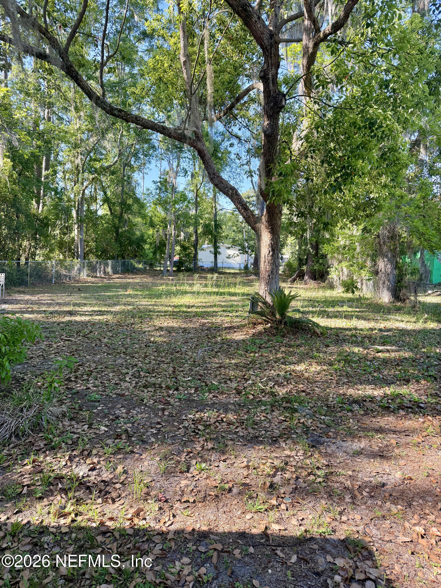 16842 Spring Street White Springs, FL 32096 - Photo 13 of 14 Larcg Back Yard