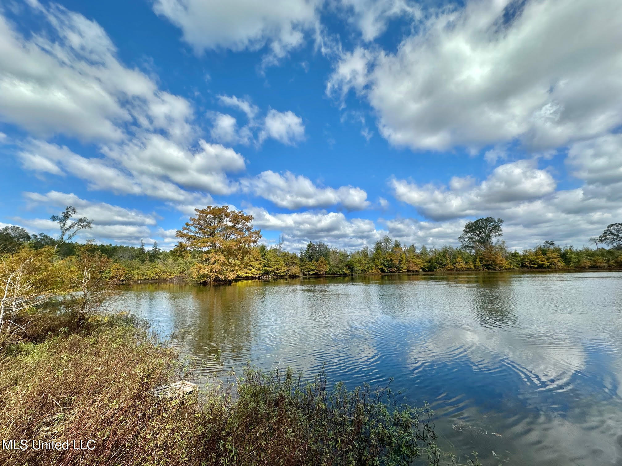 0 County Road 472 Pinola, MS 39149 - Photo 14 of 94 13