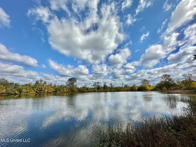 $1,501,000 | 0 County Road 472, Pinola, MS 39149