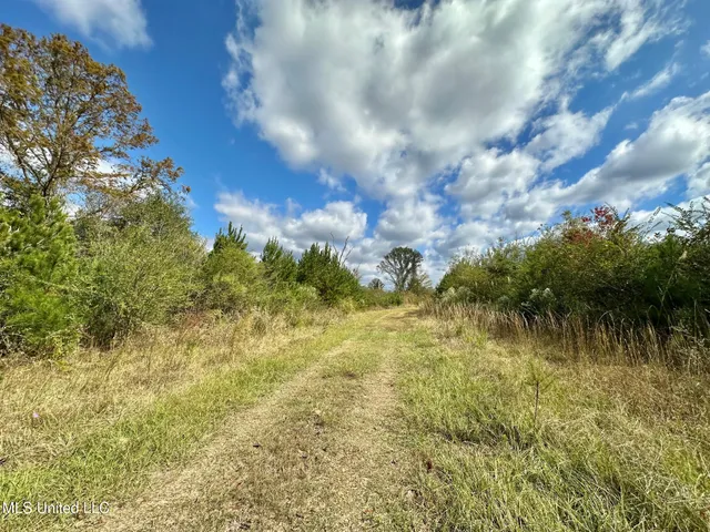 $1,501,000 | 0 County Road 472, Pinola, MS 39149