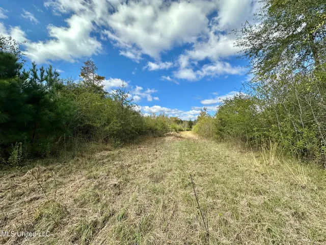 $1,501,000 | 0 County Road 472, Pinola, MS 39149