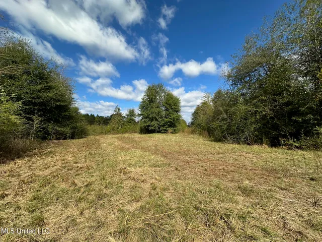 $1,501,000 | 0 County Road 472, Pinola, MS 39149