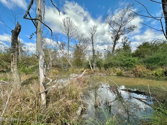 $1,501,000 | 0 County Road 472, Pinola, MS 39149