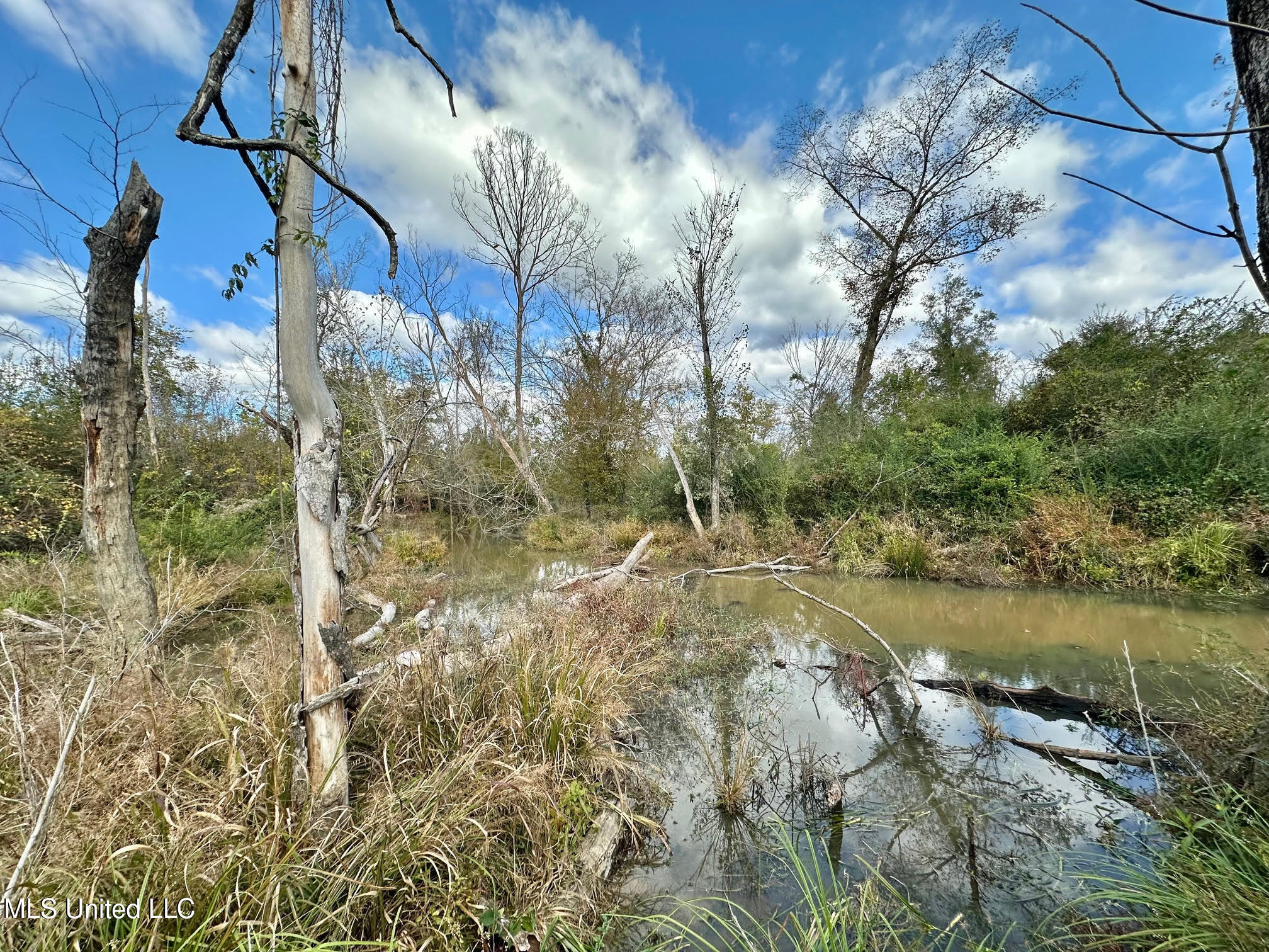 0 County Road 472 Pinola, MS 39149 - Photo 20 of 94 19