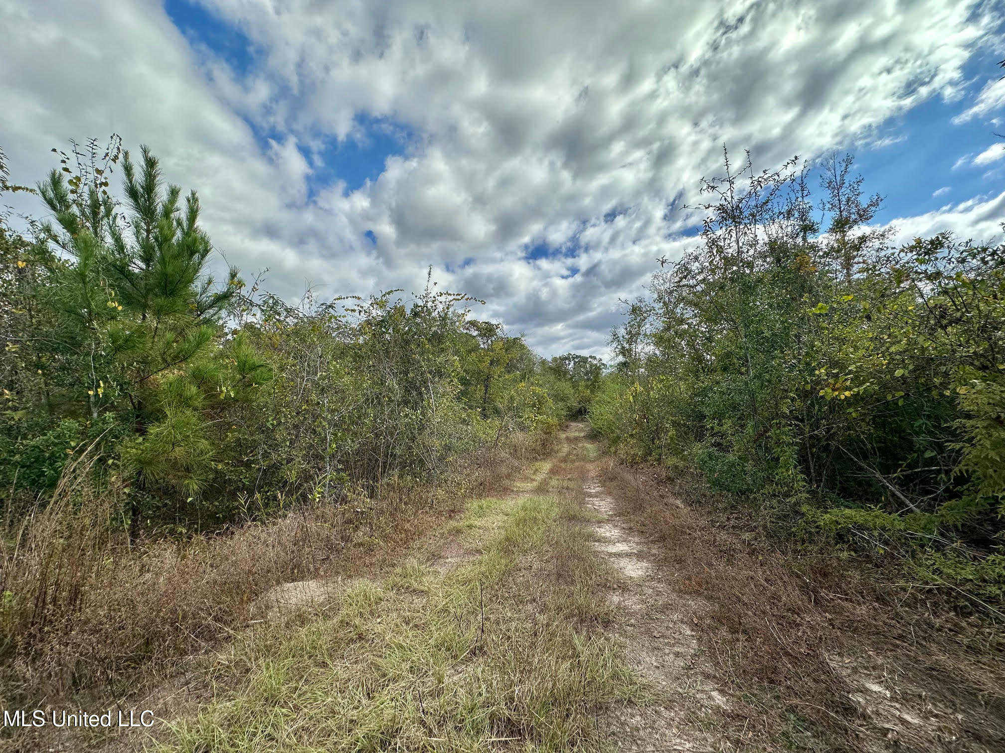 0 County Road 472 Pinola, MS 39149 - Photo 24 of 94 23