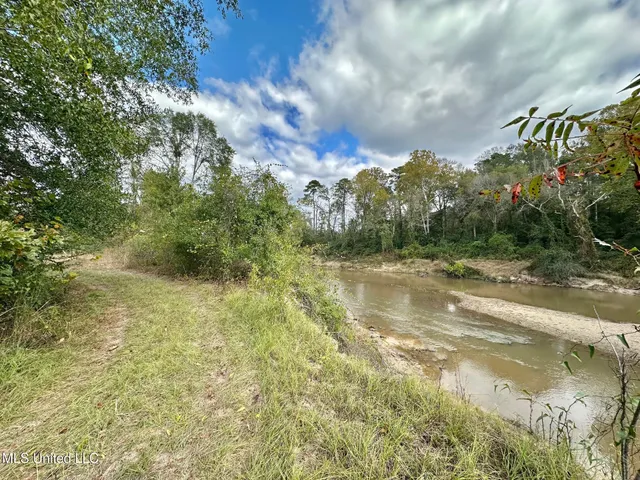 $1,501,000 | 0 County Road 472, Pinola, MS 39149
