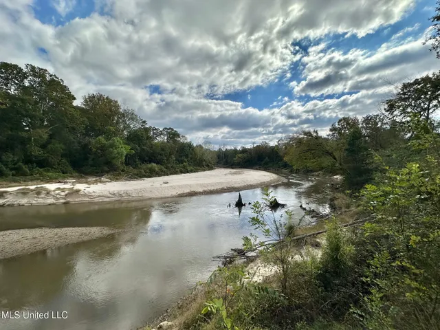 $1,501,000 | 0 County Road 472, Pinola, MS 39149