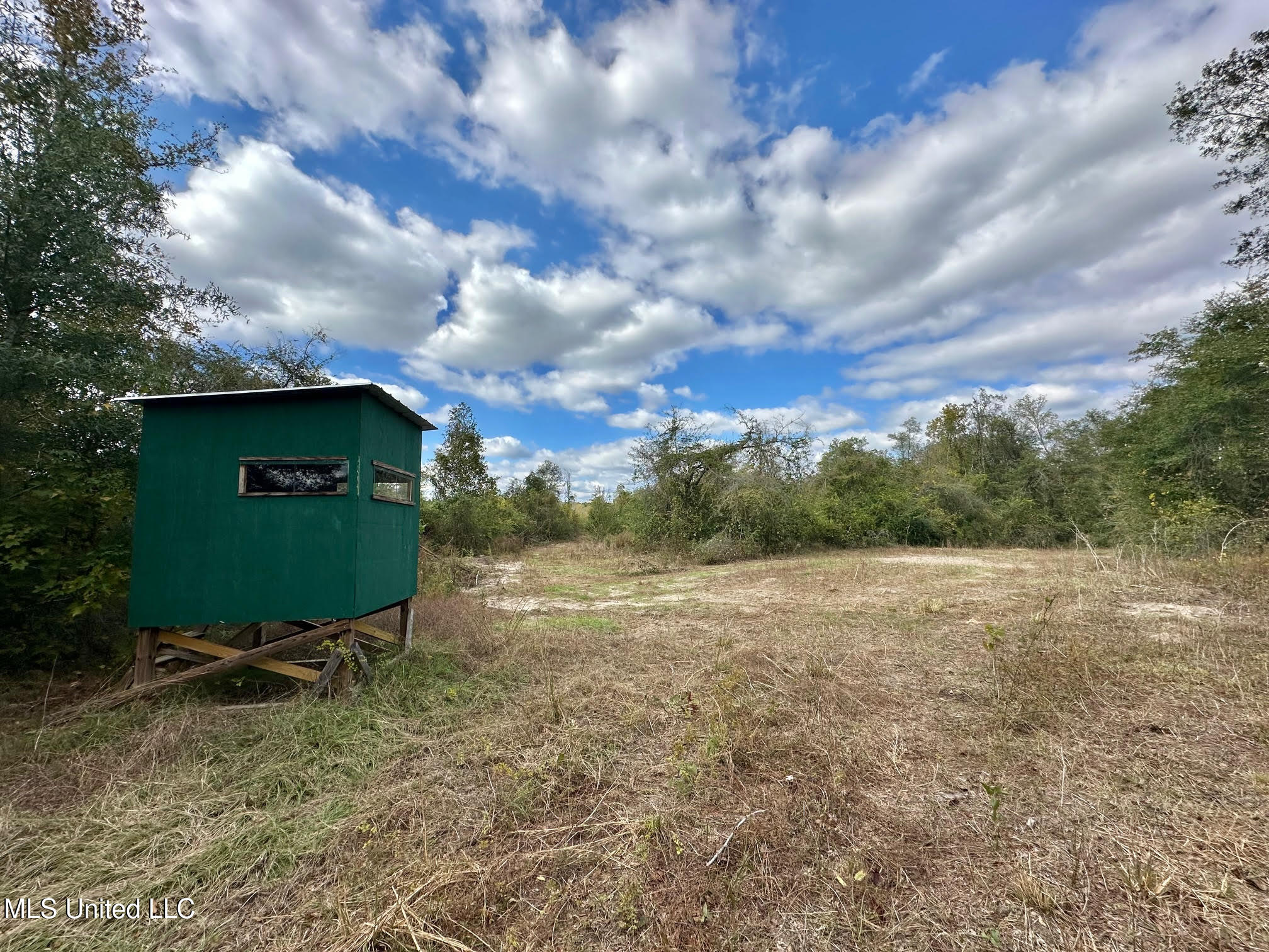 0 County Road 472 Pinola, MS 39149 - Photo 27 of 94 26