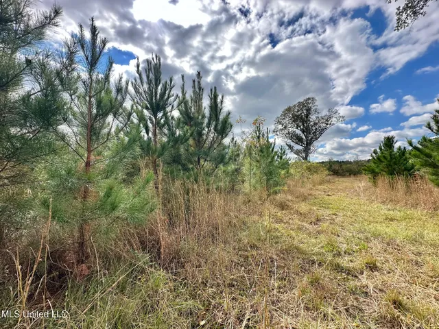 $1,501,000 | 0 County Road 472, Pinola, MS 39149