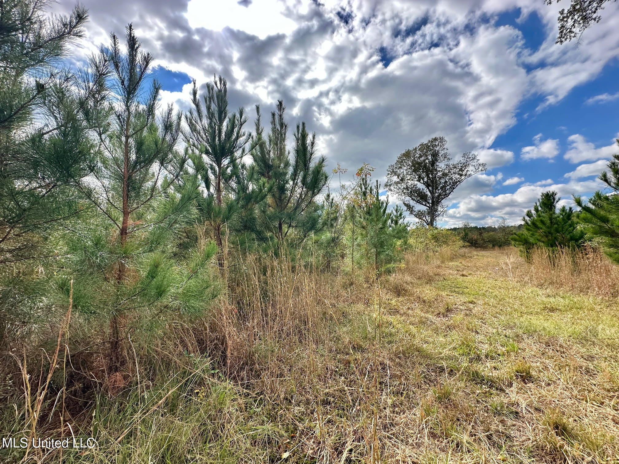 0 County Road 472 Pinola, MS 39149 - Photo 28 of 94 27