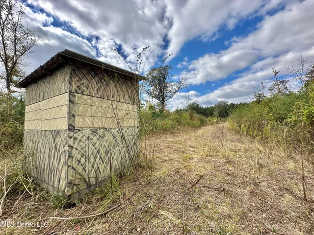 $1,501,000 | 0 County Road 472, Pinola, MS 39149