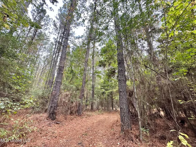 $1,501,000 | 0 County Road 472, Pinola, MS 39149