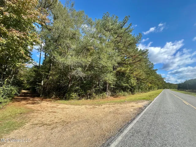 $1,501,000 | 0 County Road 472, Pinola, MS 39149