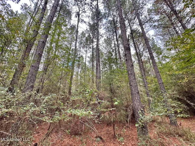 $1,501,000 | 0 County Road 472, Pinola, MS 39149