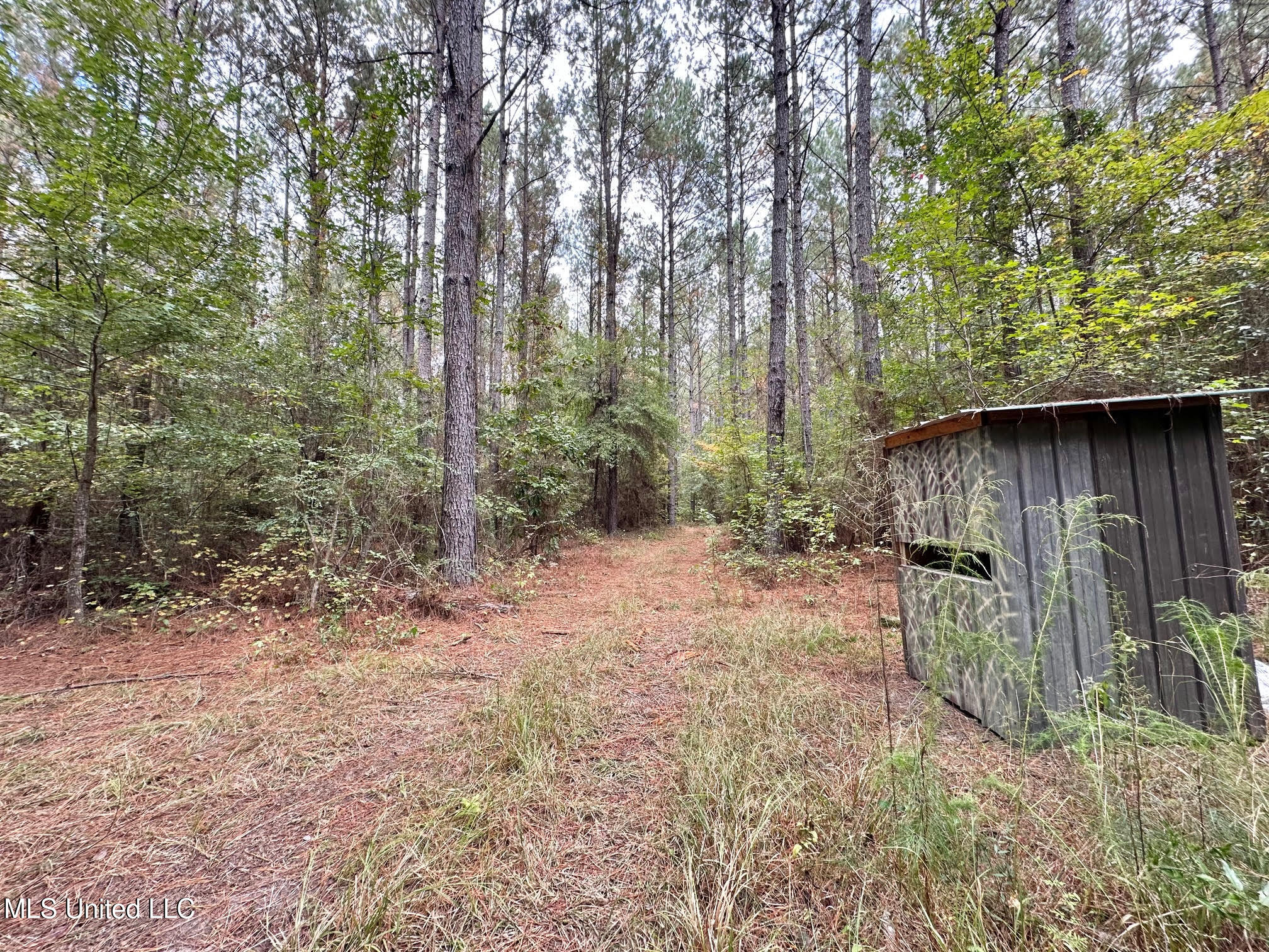 0 County Road 472 Pinola, MS 39149 - Photo 32 of 94 31