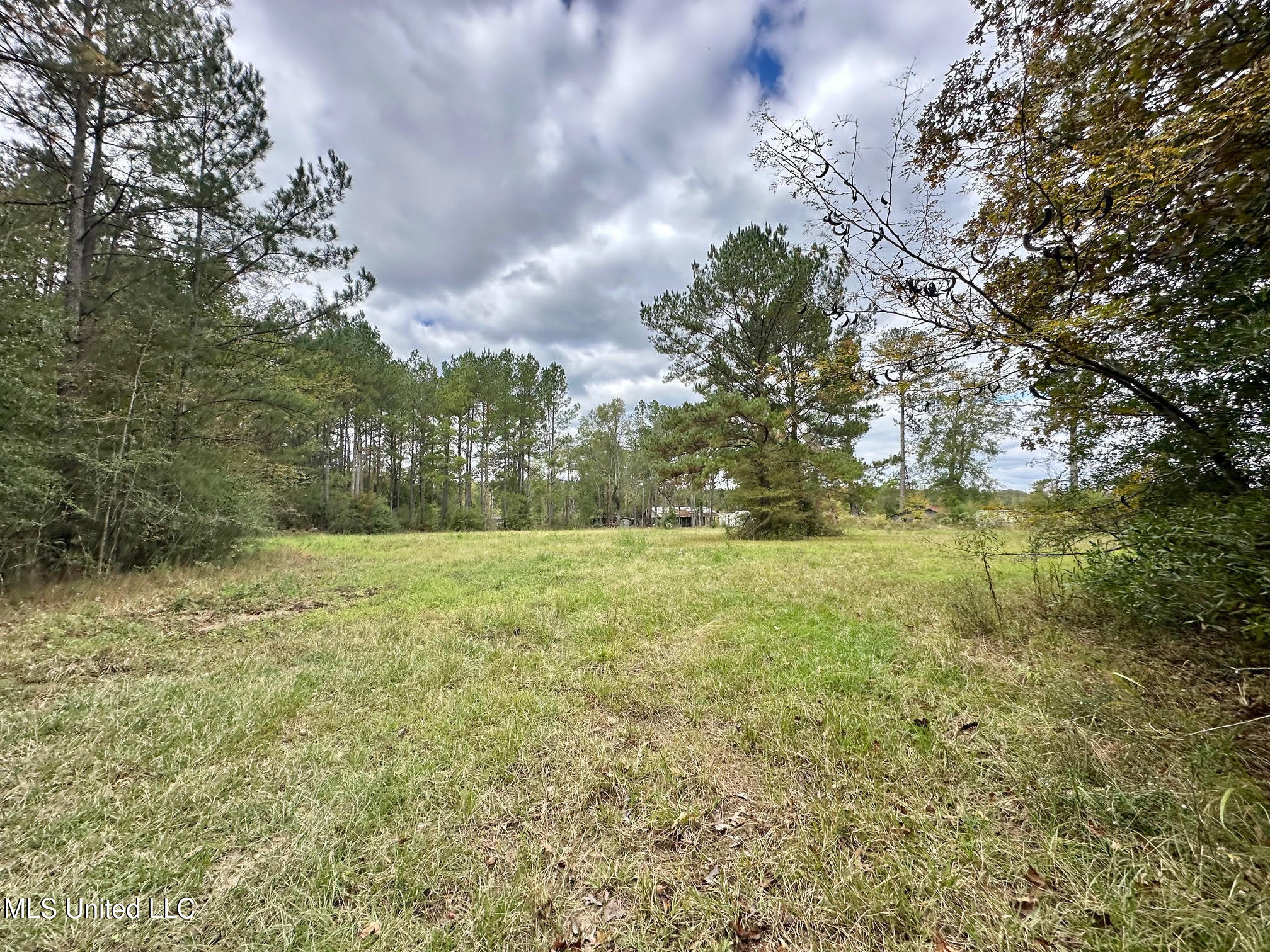 0 County Road 472 Pinola, MS 39149 - Photo 34 of 94 33