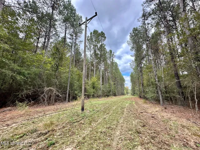 $1,501,000 | 0 County Road 472, Pinola, MS 39149