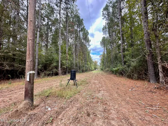 $1,501,000 | 0 County Road 472, Pinola, MS 39149