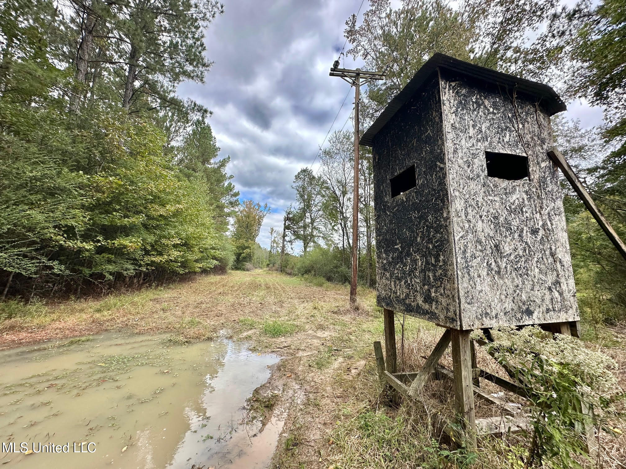 0 County Road 472 Pinola, MS 39149 - Photo 37 of 94 36