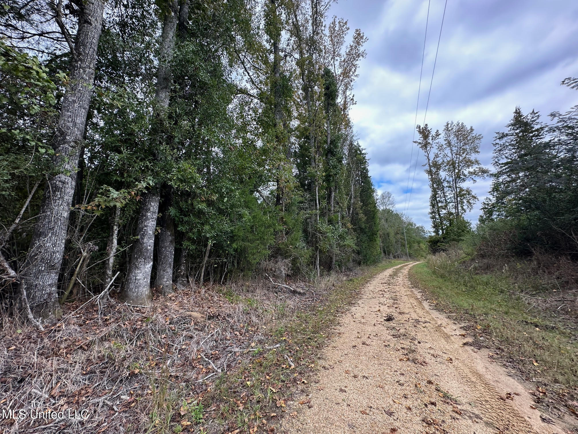 0 County Road 472 Pinola, MS 39149 - Photo 38 of 94 37