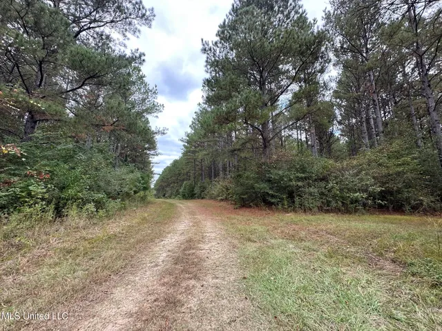 $1,501,000 | 0 County Road 472, Pinola, MS 39149