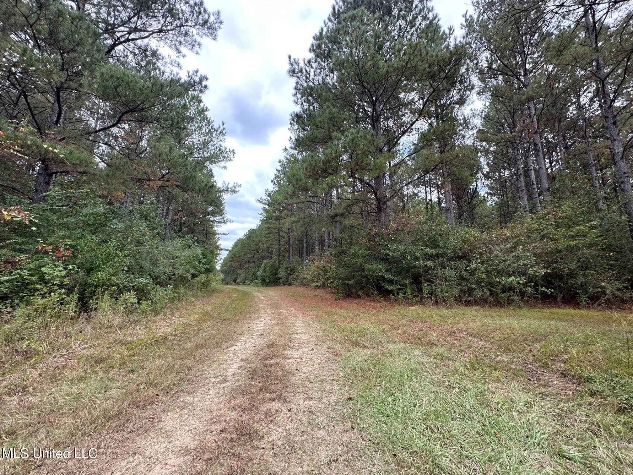 0 County Road 472 Pinola, MS 39149 - Photo 39 of 94 38