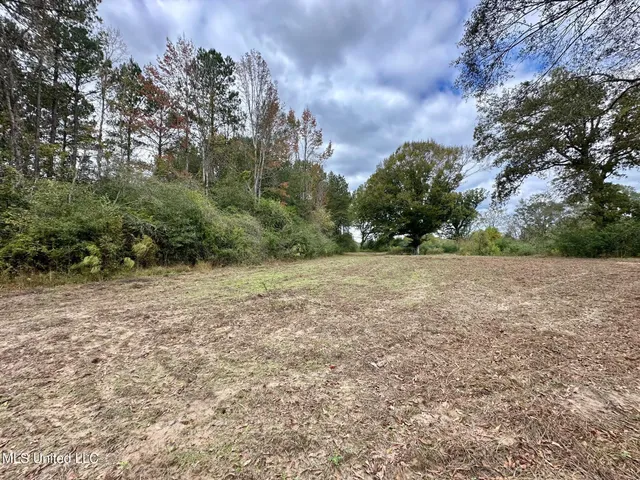 $1,501,000 | 0 County Road 472, Pinola, MS 39149