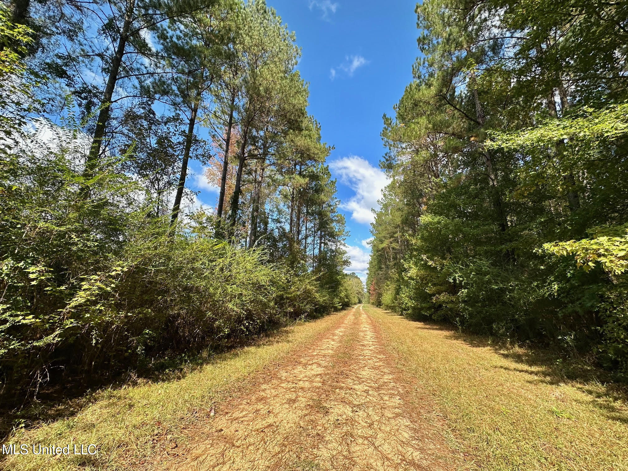 0 County Road 472 Pinola, MS 39149 - Photo 4 of 94 3