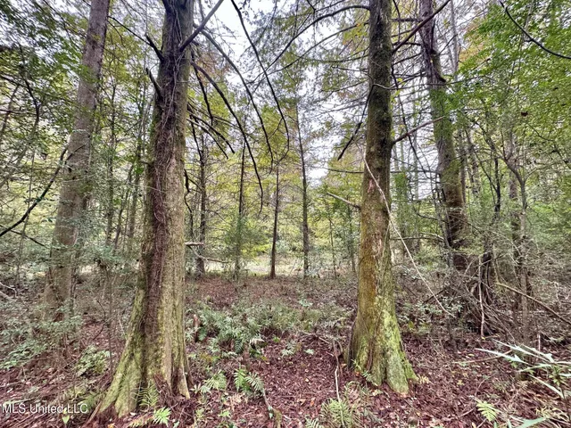 $1,501,000 | 0 County Road 472, Pinola, MS 39149