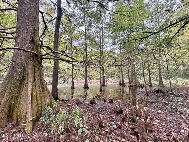 $1,501,000 | 0 County Road 472, Pinola, MS 39149