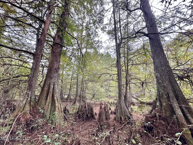 $1,501,000 | 0 County Road 472, Pinola, MS 39149