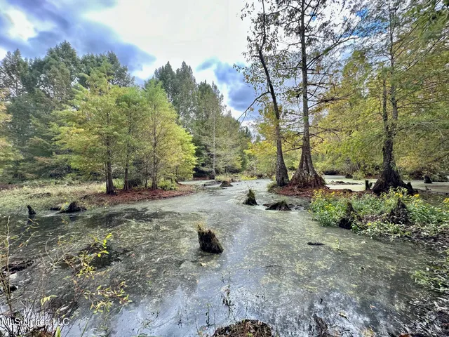 $1,501,000 | 0 County Road 472, Pinola, MS 39149