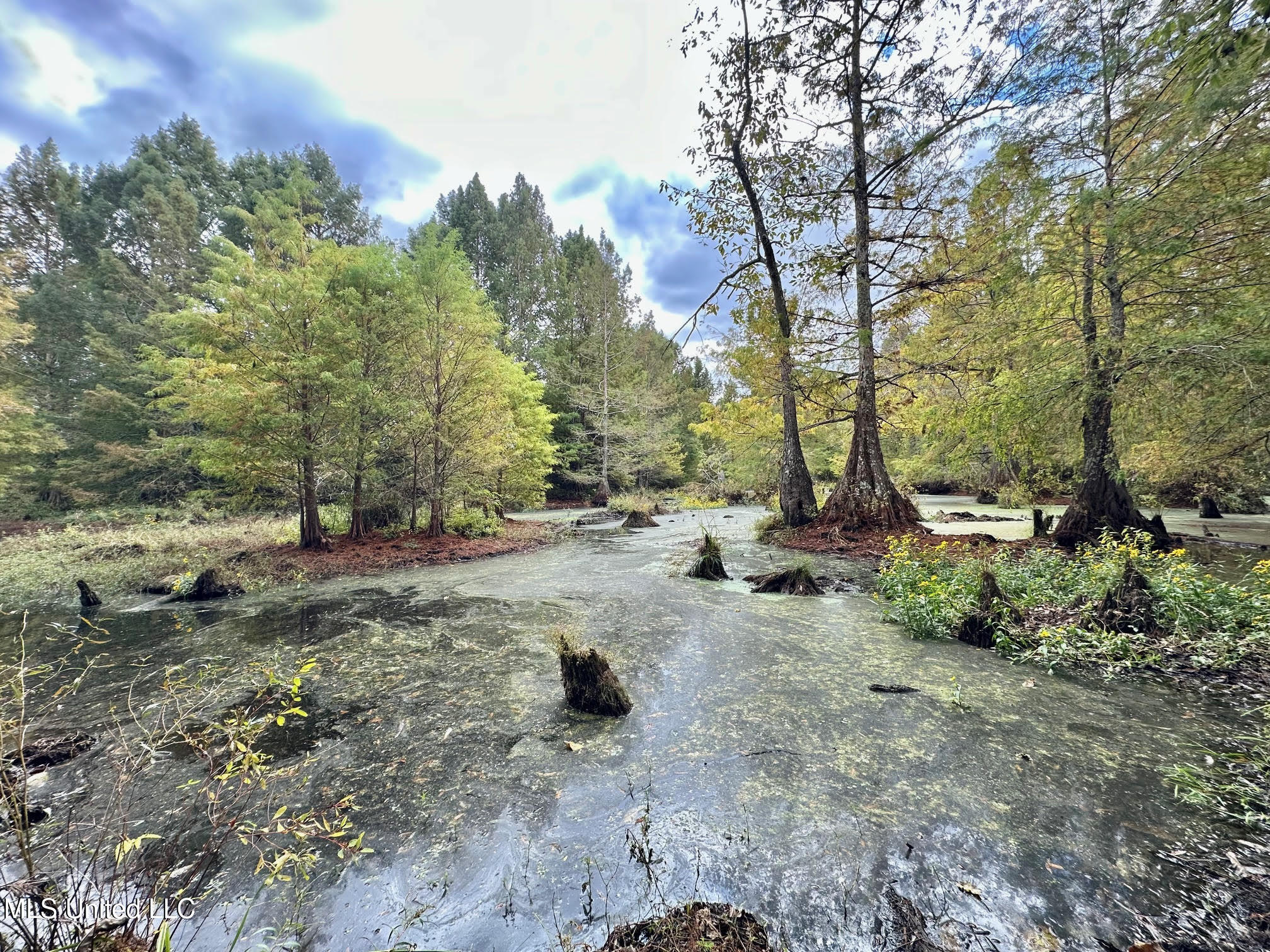 0 County Road 472 Pinola, MS 39149 - Photo 44 of 94 43