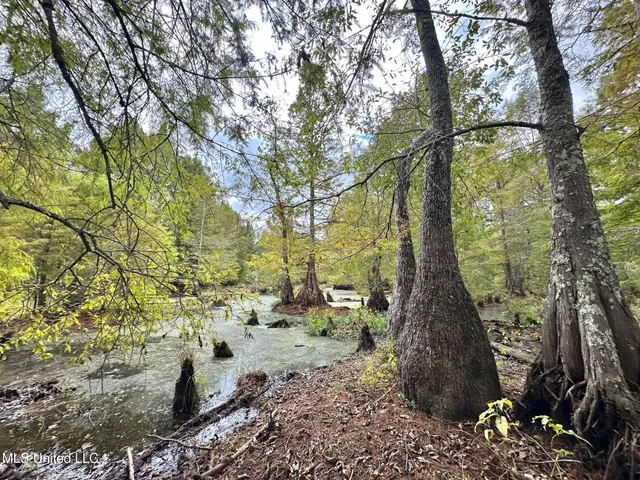 $1,501,000 | 0 County Road 472, Pinola, MS 39149