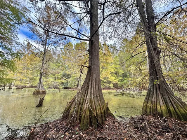 $1,501,000 | 0 County Road 472, Pinola, MS 39149