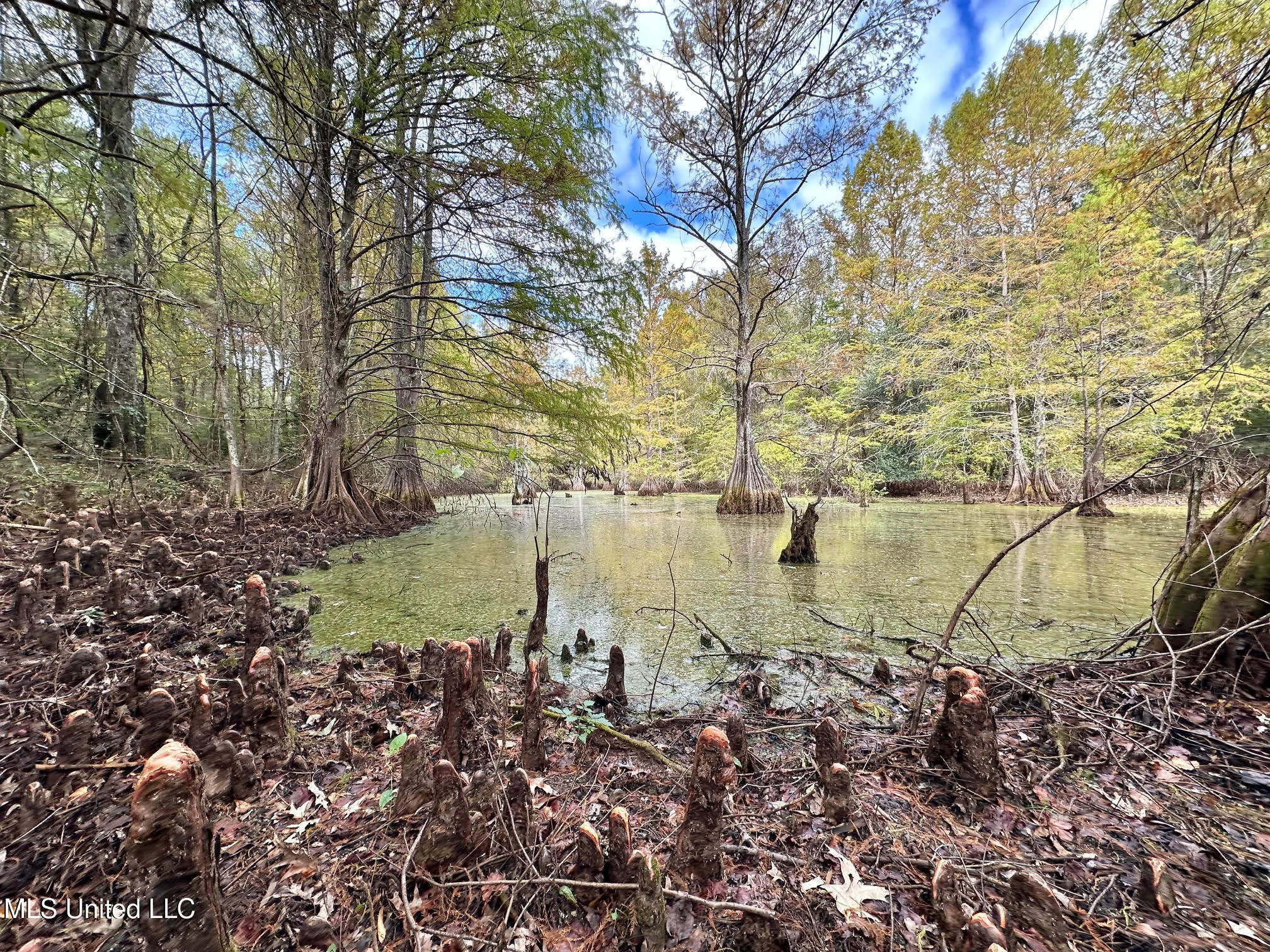 0 County Road 472 Pinola, MS 39149 - Photo 48 of 94 47