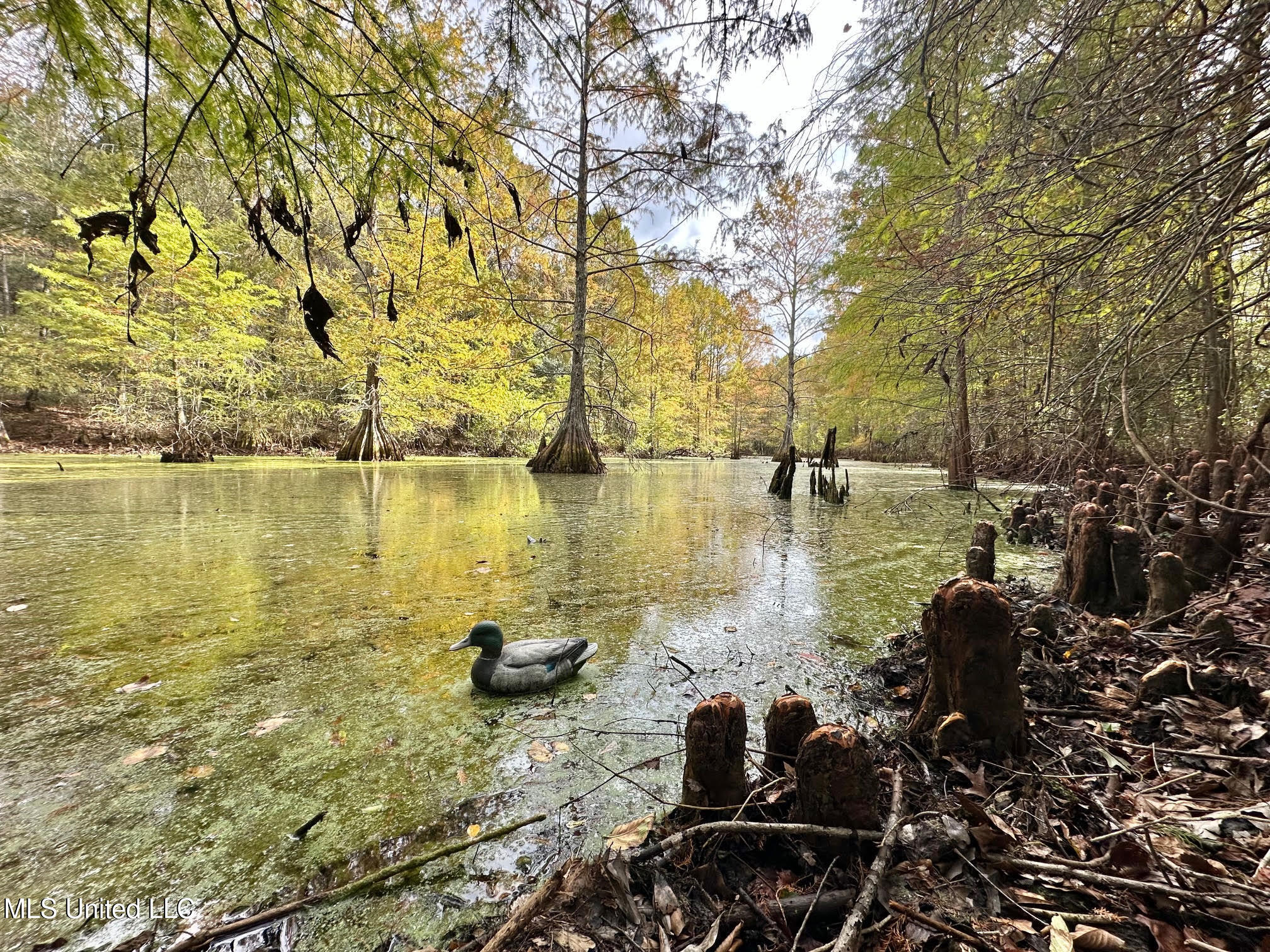 0 County Road 472 Pinola, MS 39149 - Photo 49 of 94 48
